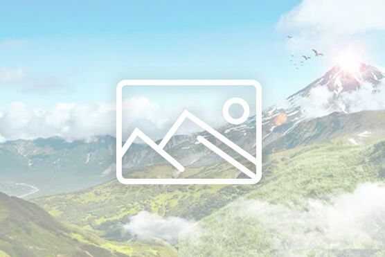 【申报通知】关于推荐2026年文化和旅游部部级社科研究项目的通知_通知公告_科研处----yl23411永利